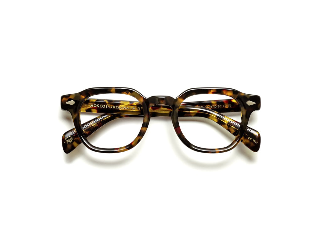 Moscot Dolt Brille, Frontansicht Tortoise