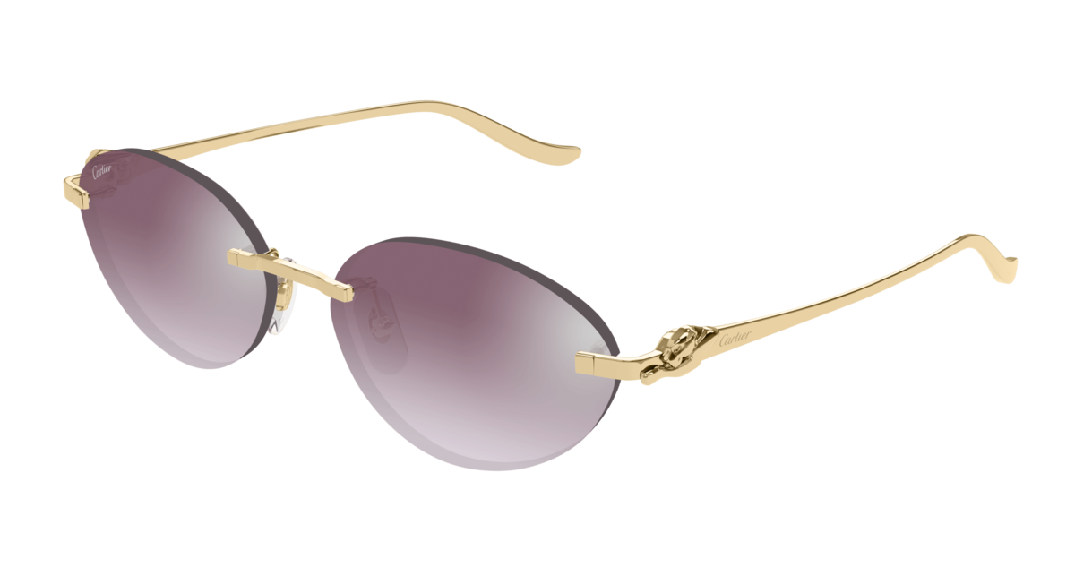 Cartier 504S Sonnenbrille, Ansicht 5