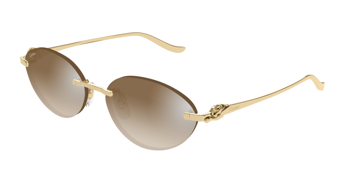 Cartier 504S Sonnenbrille, Ansicht 4