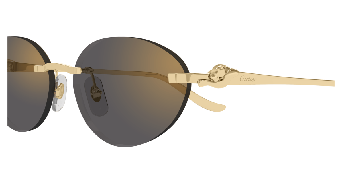 Cartier 504S Sonnenbrille, Ansicht 2