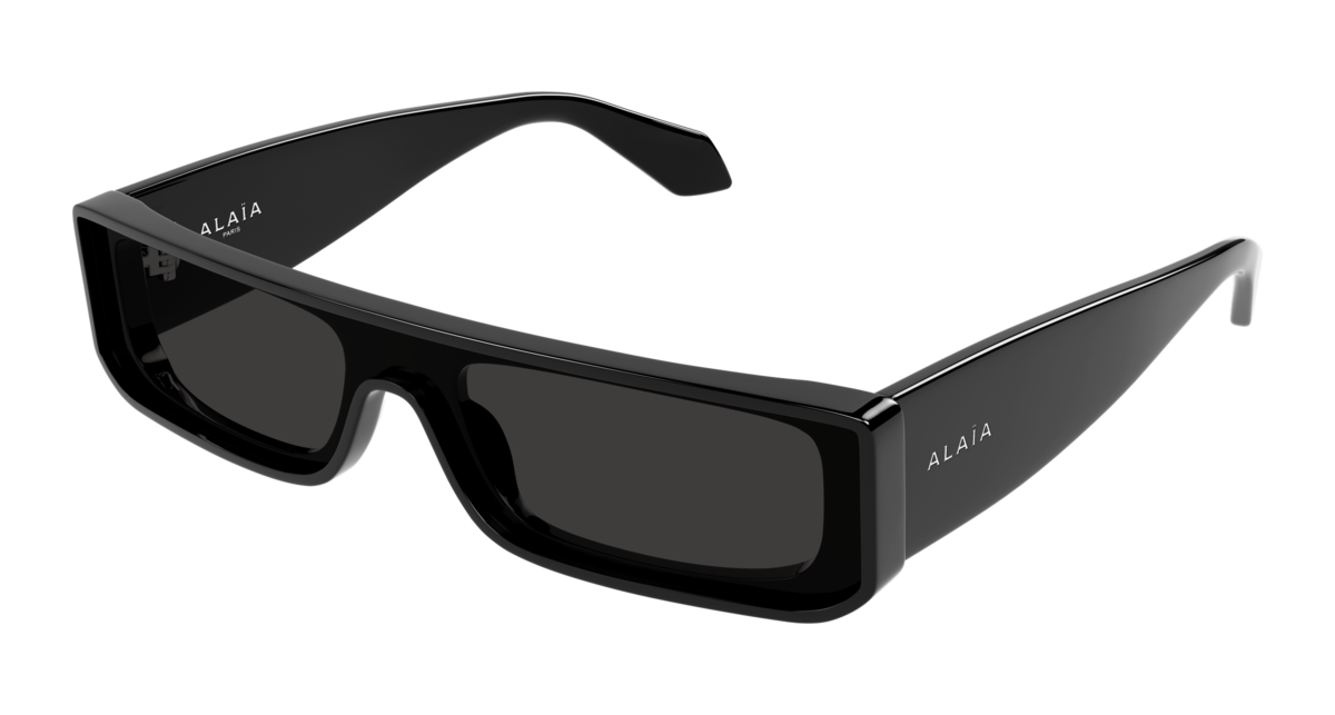 Azzedine Alaia 105S Sonnenbrille, Ansicht 2