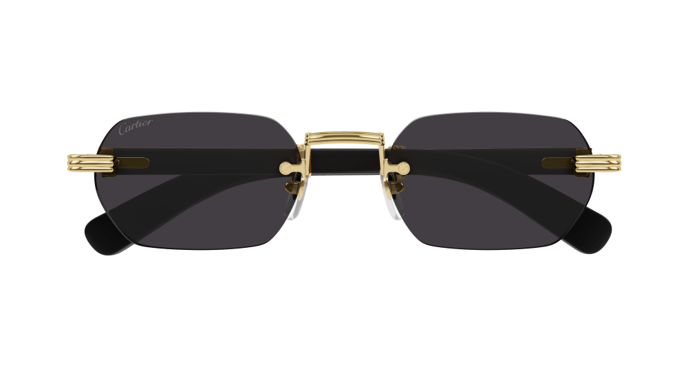 Cartier 362S Sonnenbrille, Ansicht 2