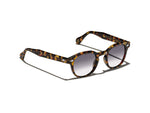 Moscot Lemtosh Tints Sun
