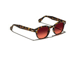 Moscot Lemtosh Tints Sun