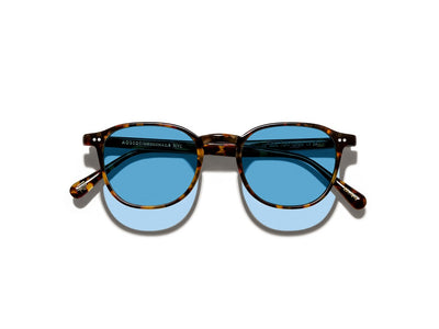 Tortoise/Celebrity Blue