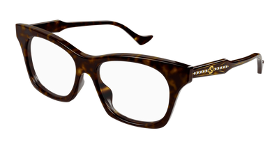 Havana Brown (002)