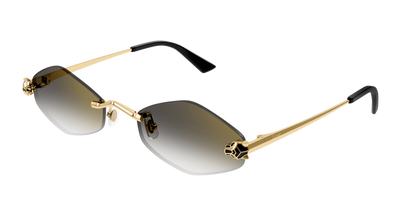 Gold/Brown (002)