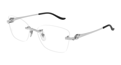 Silver (002)