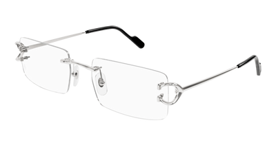 Silver (002)