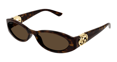 Havana Brown (002)