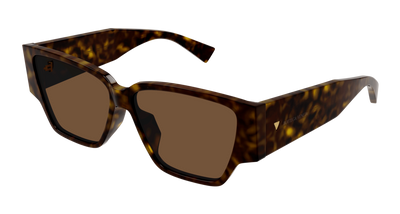 Havana Brown (002)