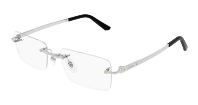 Silver (002)