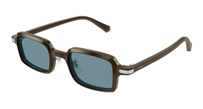 Braun (005)
