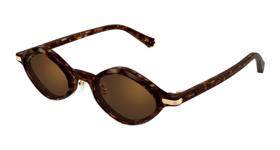 Havanna Braun (002)