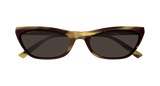 Gucci 2203S Havanna Braun/Grau (002), Ansicht 3