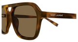 Saint Laurent 905 Havanna Braun/Braun (007), Ansicht 3
