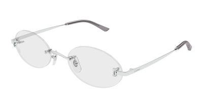 Silver (002)