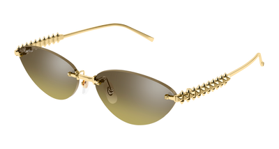 Gold/Brown (006)