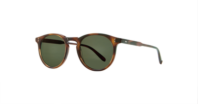 Spotted Brown Shell (SPBRNSH/G15)
