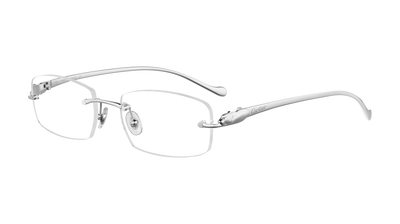 Silver (003)