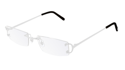 Silver (002)
