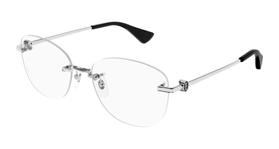 Silver (002)