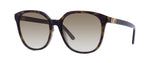 Dior 30MontaigneMini SI