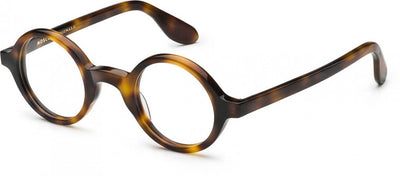 Amber Tortoise