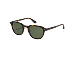 Moscot Billik Sun