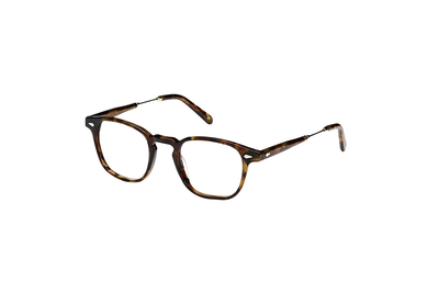 Spot Tortoise/Gold