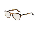 Moscot Haskel