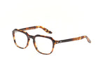 Moscot Haskel