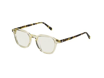 Tortoise/lemon